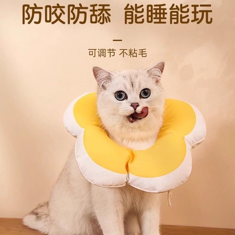 宠物伊丽莎白圈猫咪项圈围脖防舔