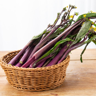 红菜苔 紫菜苔 洪湖农家菜