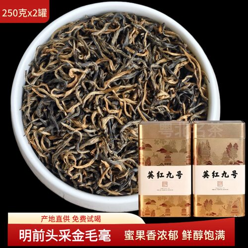 英红九号金毛毫明前特级春茶罐装