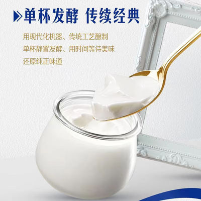 光明1911原味醇厚低温老酸奶
