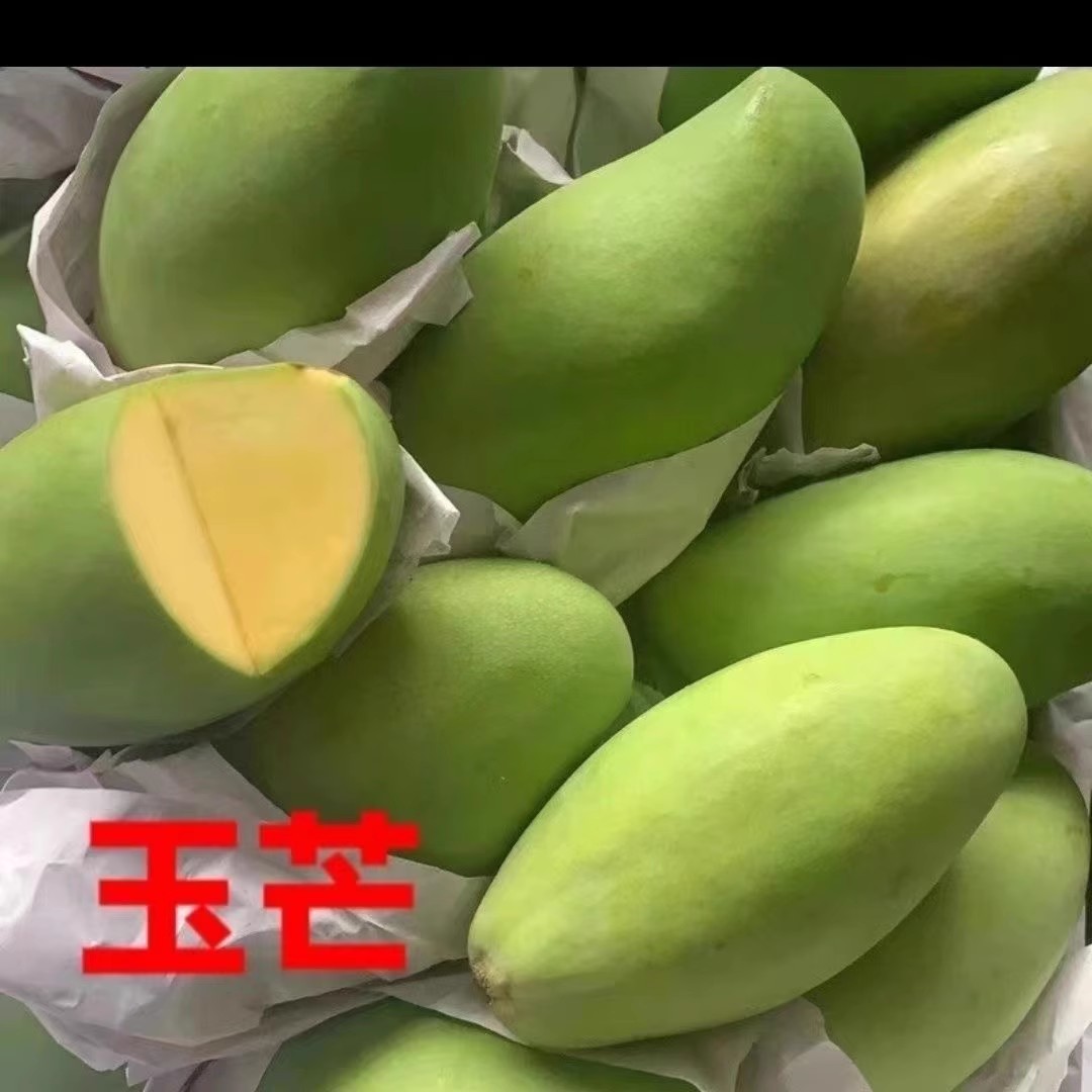 越南大青芒新鲜热带水果玉芒