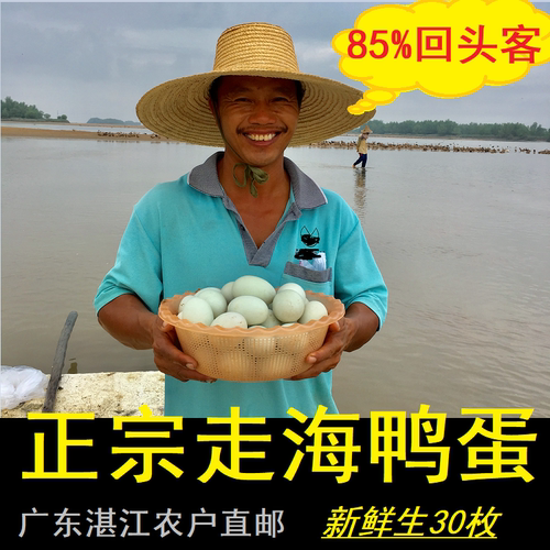 新鲜农家野生湛江特产非广西鸭蛋