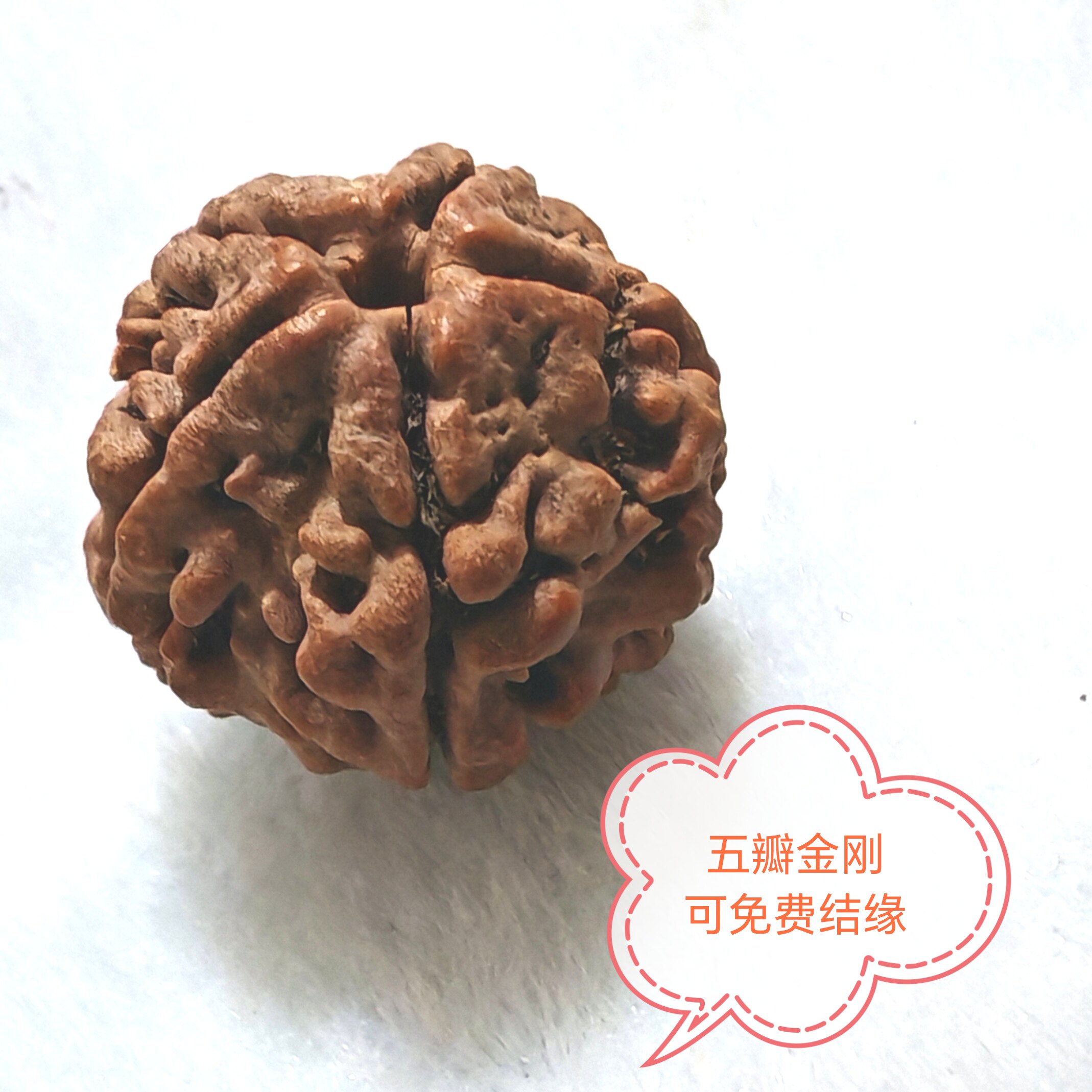 西藏直发金刚菩提手串尼泊尔五瓣18-20mm手持男女手持念珠可免费