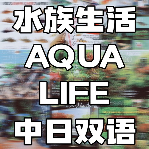 AQUA LIFE 观赏鱼饲育 鱼缸造景 水族生活