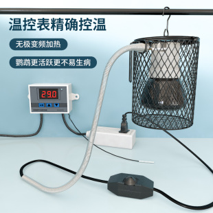 鹦鹉加热灯加温灯取暖灯保温灯玄凤防咬鸟类无光陶瓷保暖过冬神器