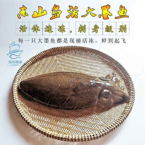 大墨鱼鲜活刺身特大野生新鲜海鲜