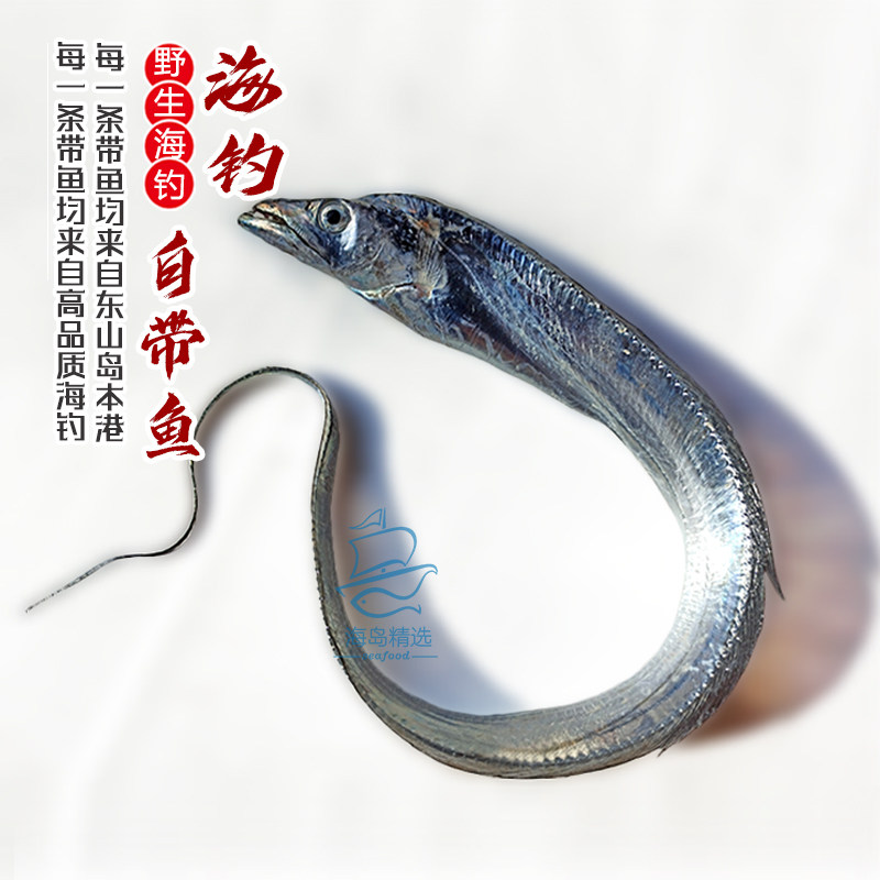 海钓白带鱼鲜活油带鱼整条新鲜生鲜东山岛本港深海鲜海鱼水产海产