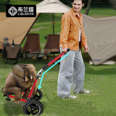 电动车拖车自行车后挂式 营地钓鱼野营露营户外骑行充气轮拖斗拉车