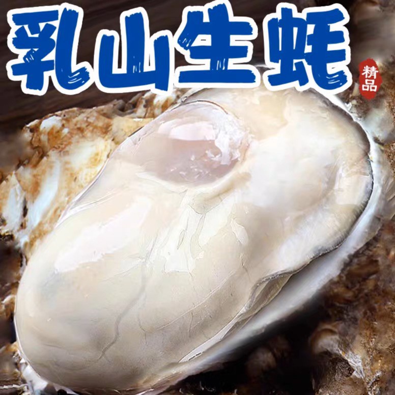 拍5斤发10斤 正宗乳山生蚝原产地顺丰冷链发货 10斤装