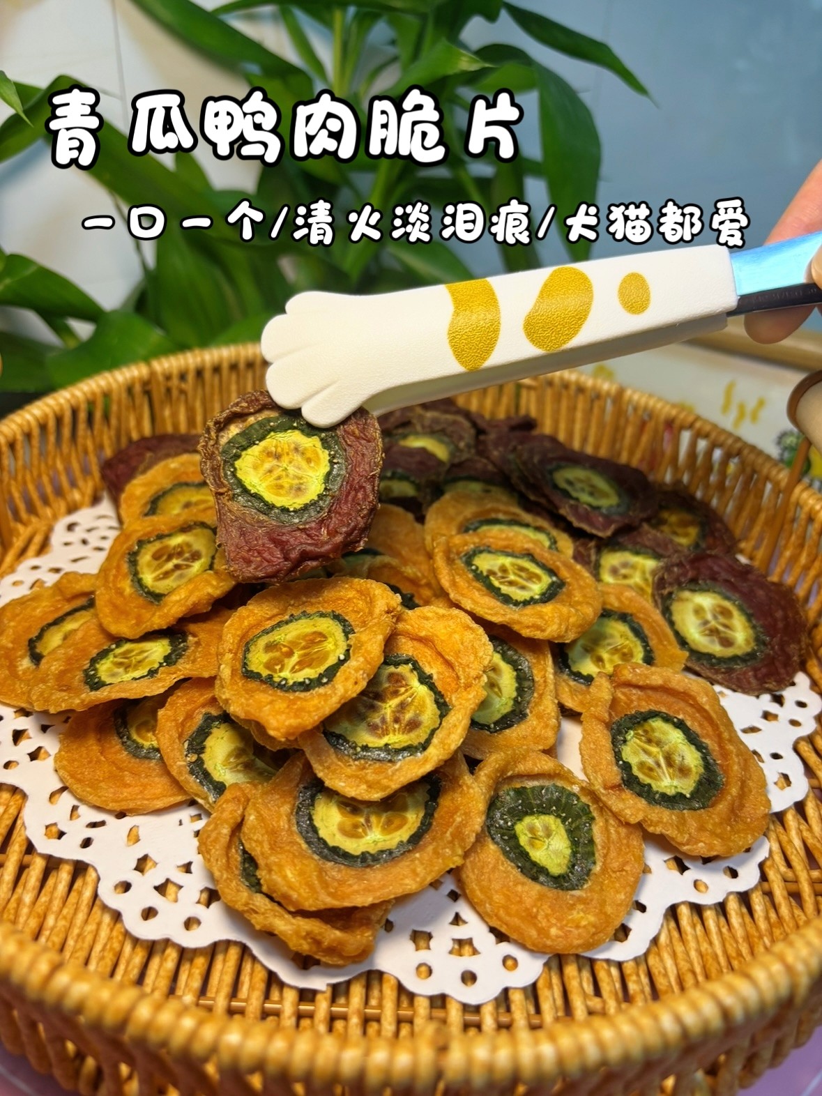 宠物狗狗零食手工自制烘干鸭肉青瓜脆片清热降火低温风干犬猫低脂