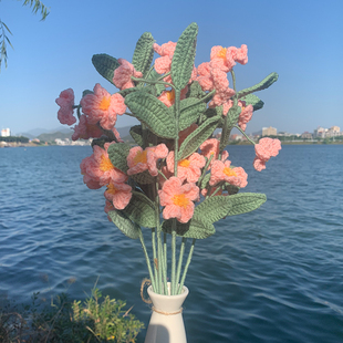 成品桃花纯手工编织毛线钩针过年送礼桃花运生日礼物送礼花束搭配