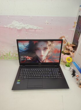二手神舟NBxxTA游戏本电脑 i5六核，4G独显，16英寸大屏，144hz