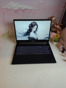 二手神舟高性能游戏本，i7六核GTX1650 4G独显，15.5英寸大屏