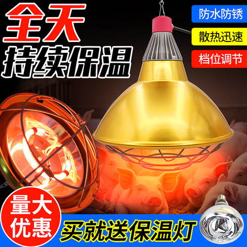 猪场保温灯罩防水冬季持续取暖灯