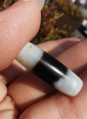 13207西亚千年黑白天珠