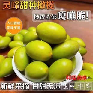 潮汕灵峰甜种橄榄新鲜生吃甘甜无渣生吃零食甘甜甜橄榄生吃煲汤