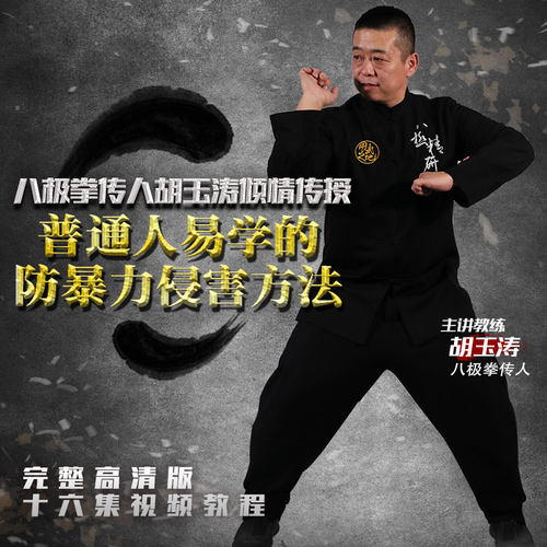 八极拳防身精华  用武之地八极拳【在线观看非实物】