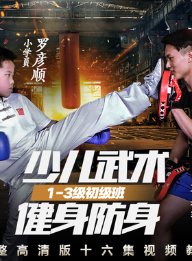 少儿散打教学  用武之地儿童零基础散打入门课【在线观看非实物】