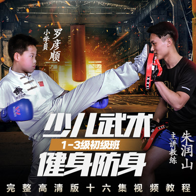 少儿散打教学用武之地儿童零基础散打入门课【在线观看非实物】