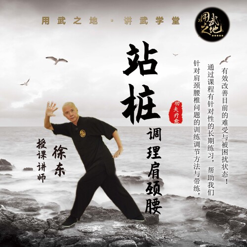 站桩强化肩颈腰  【在线观看非实物】