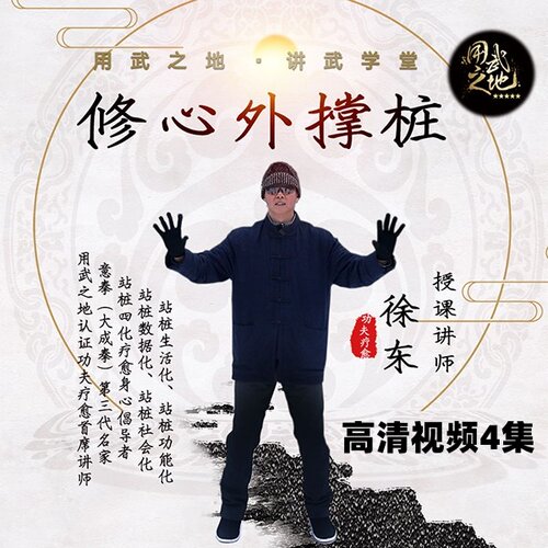 修心外撑桩-调理心肺【在线观看非实物】