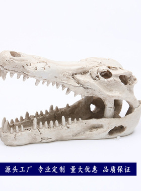 水族箱鱼缸摆件 水草造景 鲨鱼头骨 树脂头骨 造景装饰宠物摆件