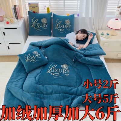 加厚牛奶绒抱枕被子冬季双面绒