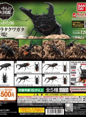 万代生物大图鉴甲虫06弹扭蛋摆件
