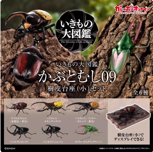 BANDAI 生物大图鉴甲虫09 长戟潘神大兜犀金龟摆件 正版