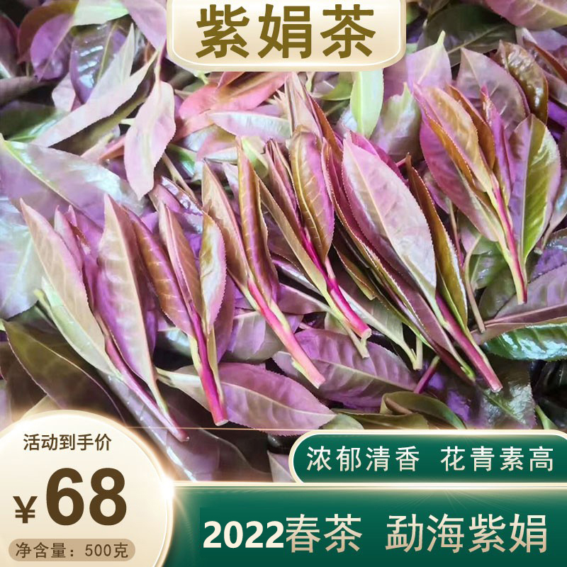 紫鹃茶云南普洱茶生茶散茶紫娟茶勐海布朗山生态茶春茶500克一斤 茶 普洱 原图主图