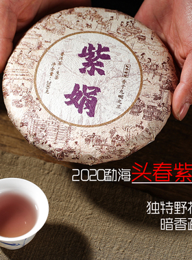 2020年云南勐海紫娟普洱茶生茶饼茶生态浓香型稀有黑紫鹃包装200g