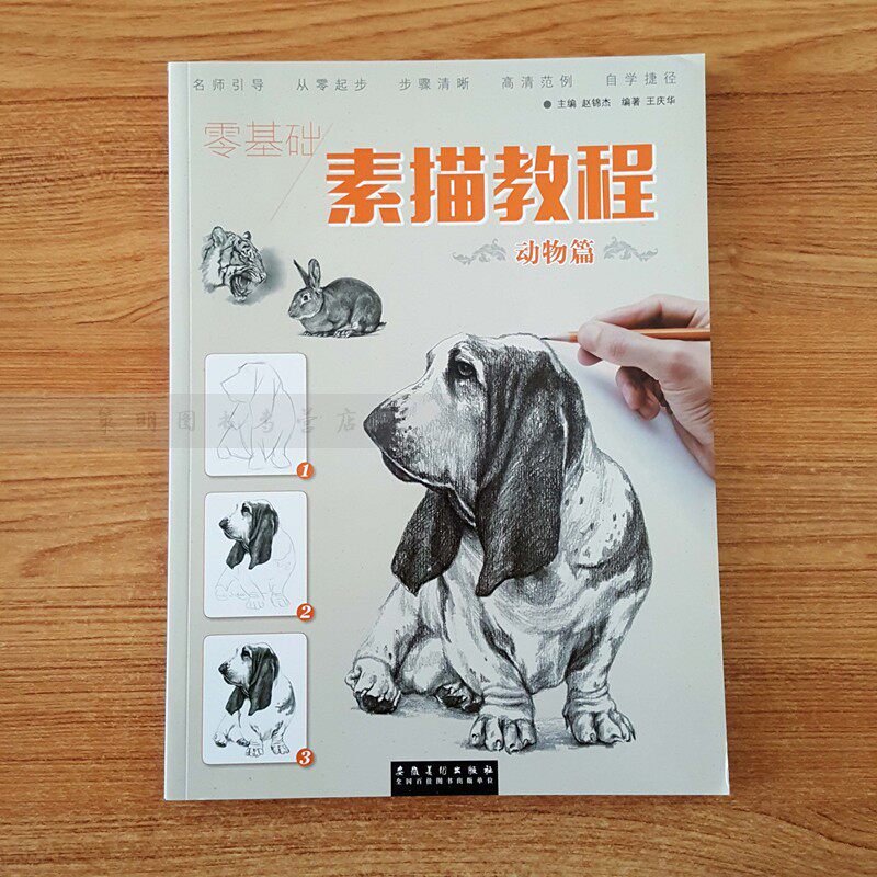 库存清仓 正版 零基础 素描教程 动物篇 名师引导 从零起步 范例 中小学生素描基础入门教程绘画书安徽美术出版社