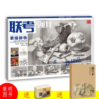 联考强化素描静物横构图 2019品博文化刘东亮静物素描临摹范本基础入门步骤解析单个组合结构静物照片对应范画联考美术教程绘画书