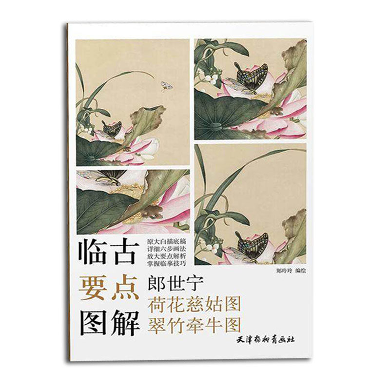 图解(郎世宁荷花慈姑图翠竹牵牛图)国画荷花临摹技法原大白描底稿工笔