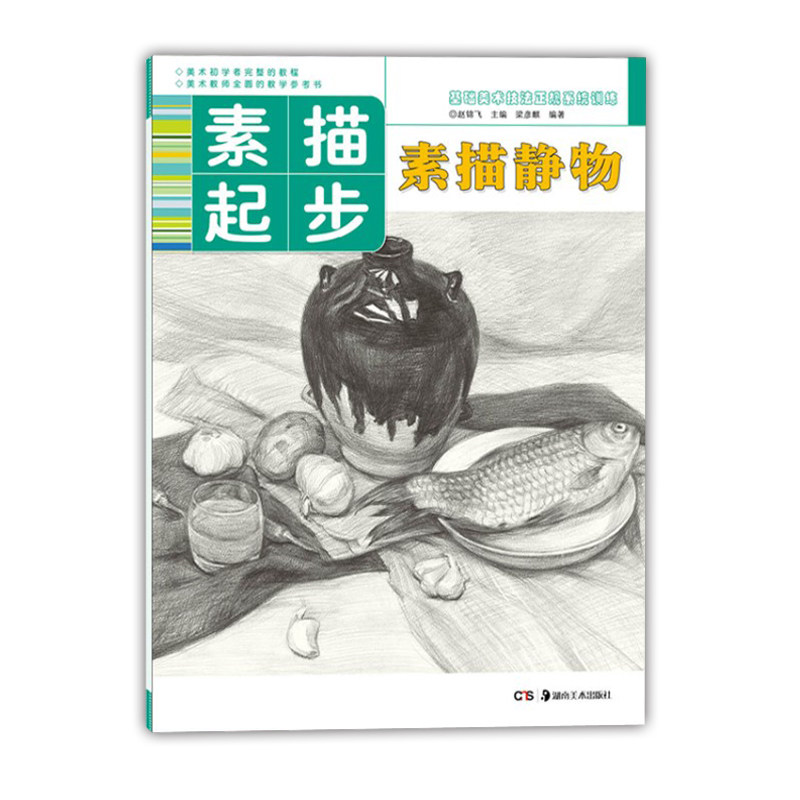 赵锦飞编 基础美术技法正规系统训练 儿童美术静物素描入门教程书