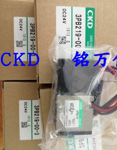 4GD119R.4GA119R.4GD219R.4GE119R.4GB219R.4GE229R日本原CKD线圈