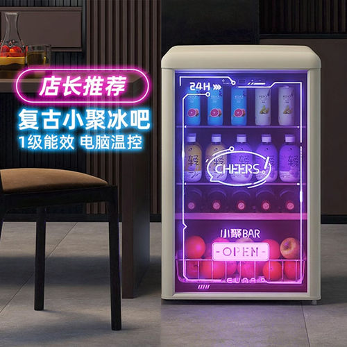 一级节能高颜值复古朋克小冰吧