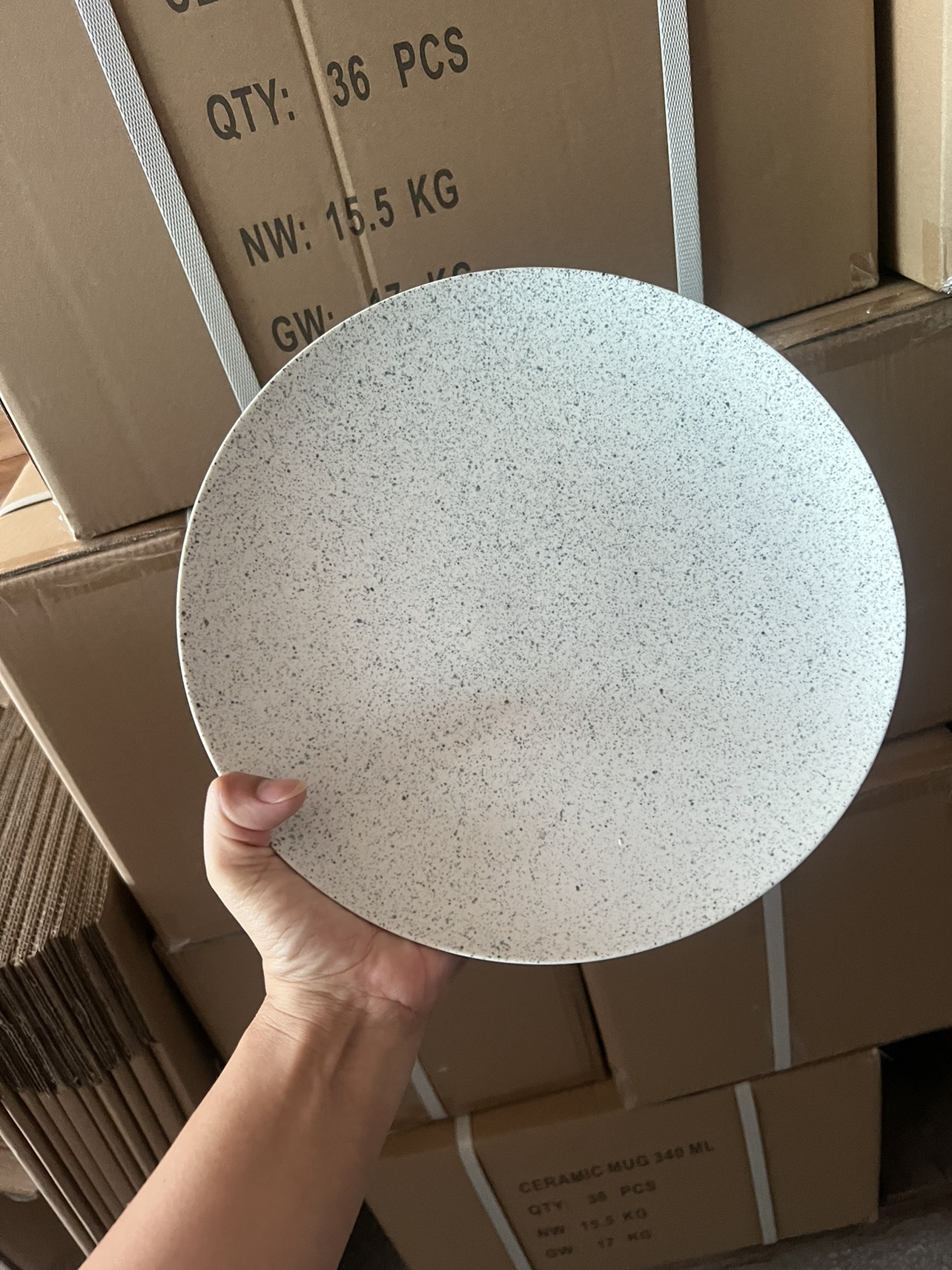 西餐餐盘高级牛排盘子家用炒菜盘碟子陶瓷餐具平盘浅盘芝麻点微瑕