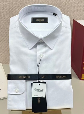【天丝DP免烫】雅戈尔春季男长袖衬衫商务休闲修身衬衣114784BBY