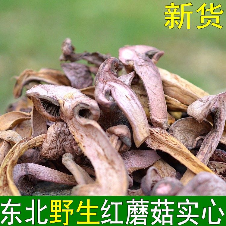 东北野生红蘑菇干货松蘑肉蘑松树伞切片食用菌特产礼品盒包邮