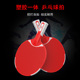 二代塑胶一体乒乓球训练乒乓拍套装 直拍横拍儿童成人
