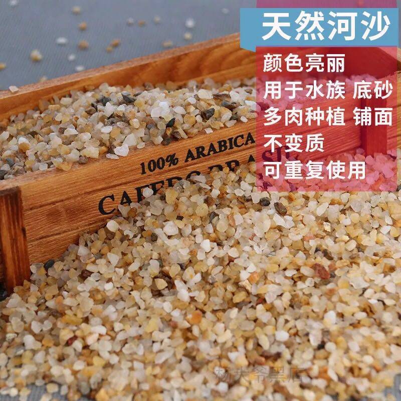 天然多肉种植颗粒土粗河沙包邮