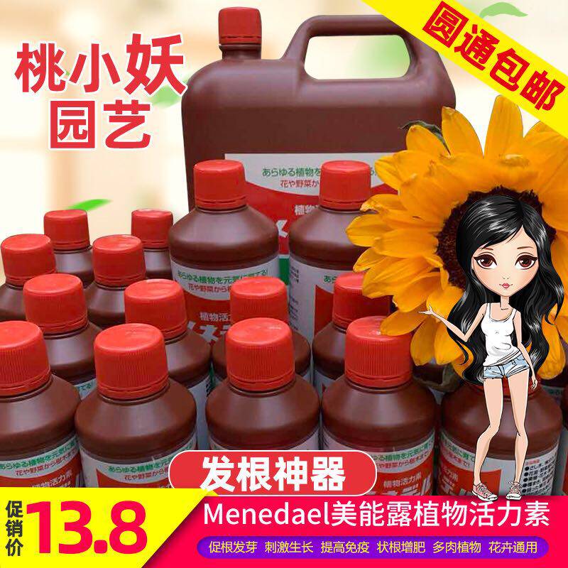 包邮美能露多肉植物催爆侧芽发根