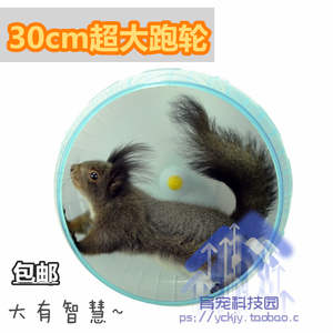 刺猬跑步机非洲迷你刺猬跑轮仓鼠跑轮松鼠跑轮仓鼠跑步机静音跑轮