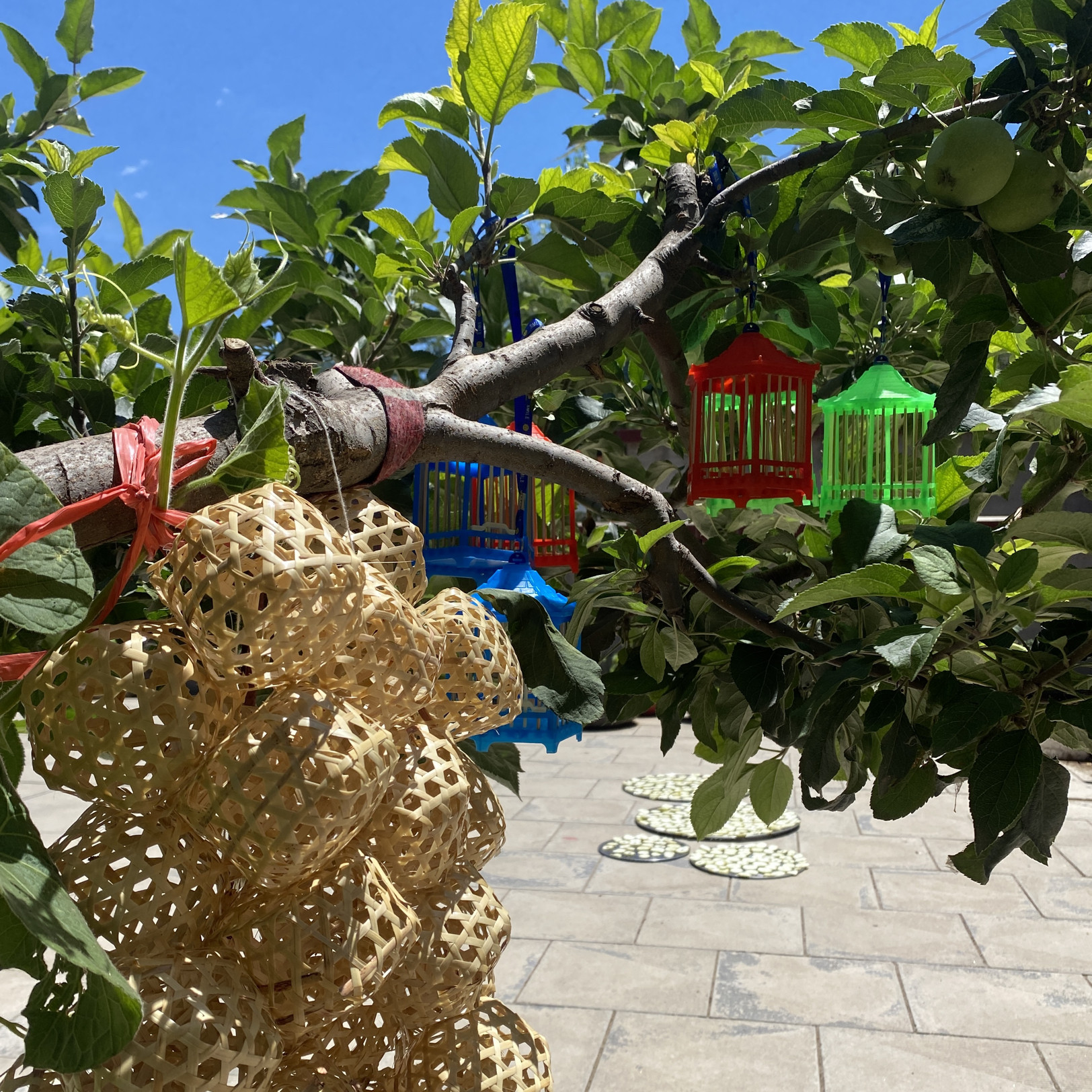 蝈蝈笼六角笼传统草编笼鸣虫虫具蝈蝈笼子宠物爬虫房子