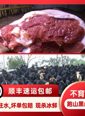 山羊肉新鲜现杀黑山羊后腿肉农家散养带皮羊排肉羊腩前小腿腱子肉
