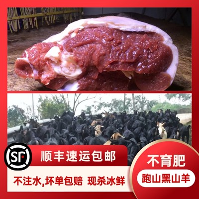 山羊肉新鲜现杀黑山羊后腿肉农家散养带皮羊排肉羊腩前小腿腱子肉