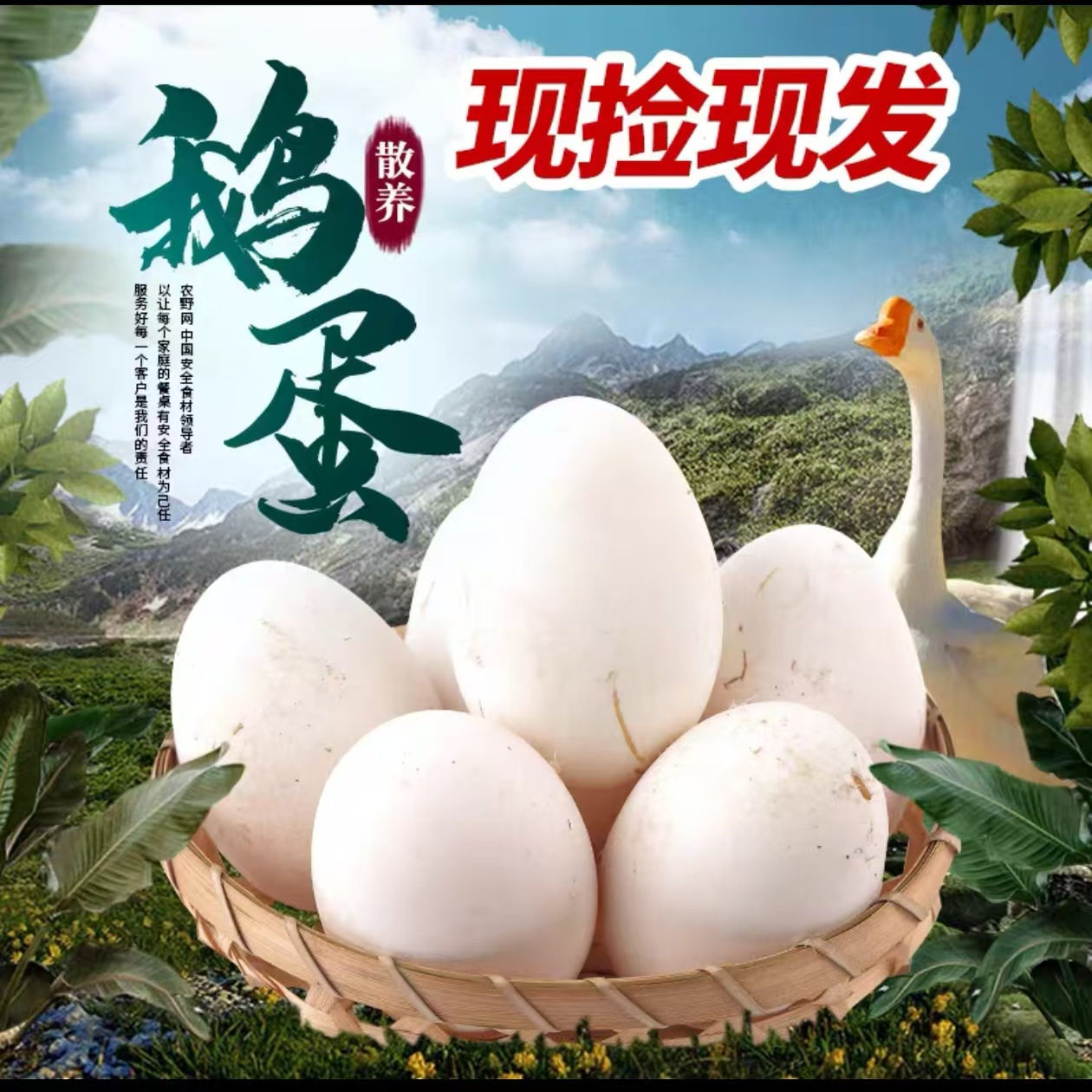 温县独有怀山药+五谷喂养原生态土鹅蛋  增强免疫力补气血 12枚装