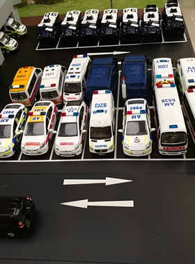 微影TINY香港警车模型平治霸道海狮柯斯达沙利臣刹臣普锐斯1:76