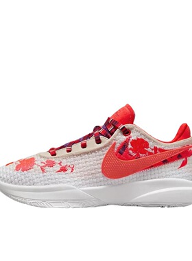 Nike LEBRON 20詹姆斯实战低帮篮球鞋FJ0724-801广东LS仓